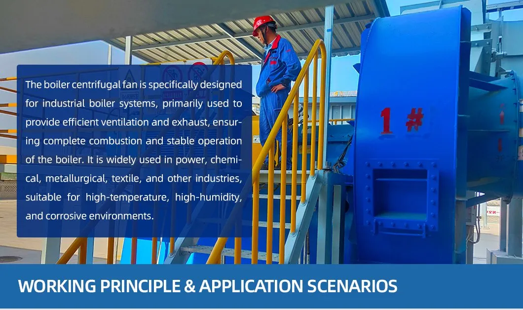 Customize Large Flow Low Noise Kiln Blowers Induced Draft Fans Smoke Exhaust Fans 0